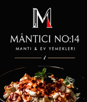 Mantıcı No:14
